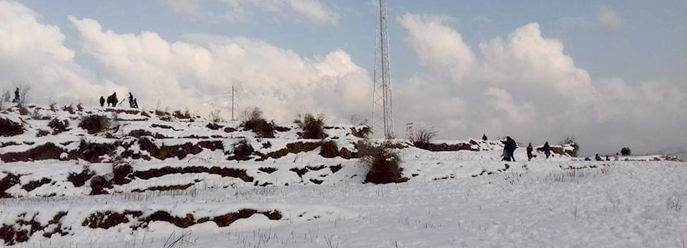 sight seeing in Manali tour travels